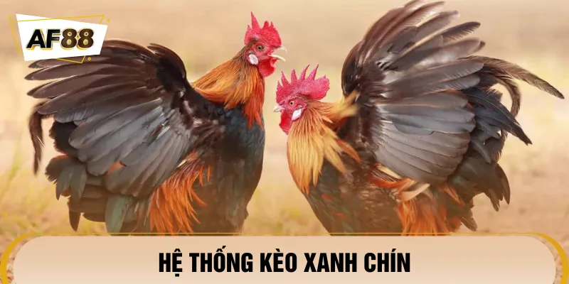 Các loại kèo cơ bản