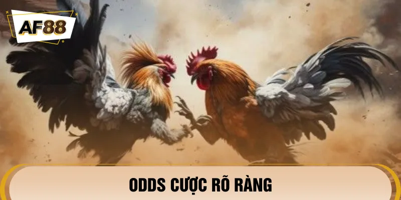 Chuyên mục có bảng kèo chất lượng