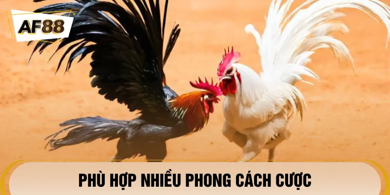 Đá gà AF88 thích hợp nhiều phong cách cá cược